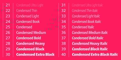 Neue Frutiger Font Poster 6